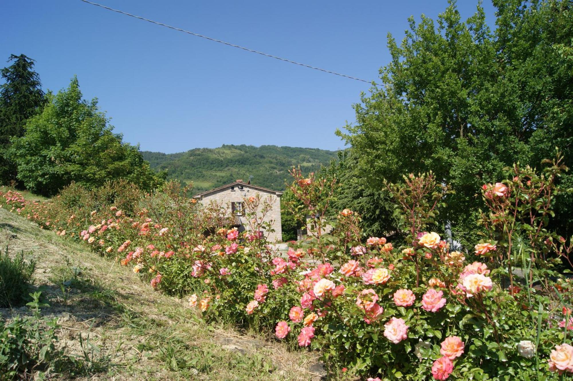 Agriturismo Corte Dei Mori Brisighella Eksteriør bilde